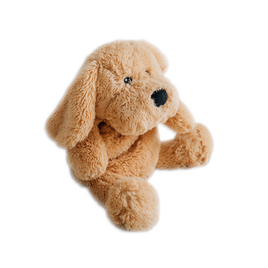 Charlie the Weighted Puppy Dog and Charlies Mindful Adventure By The Sea Pack