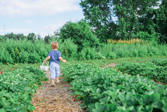 Simple ideas to get your children out doors and into nature